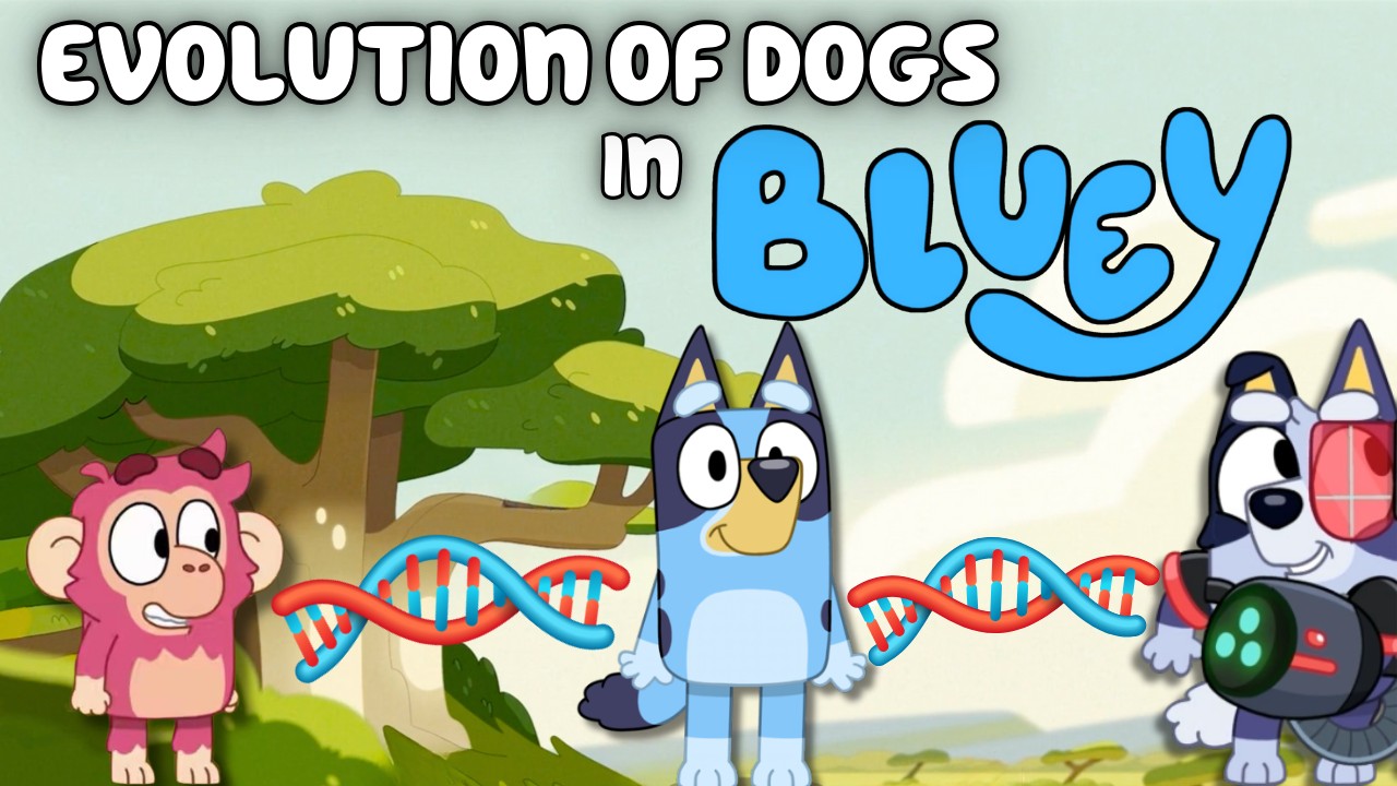 BLUEY THEORY: The Evolution of Dogs in Bluey Explained (Why do Man Made ...